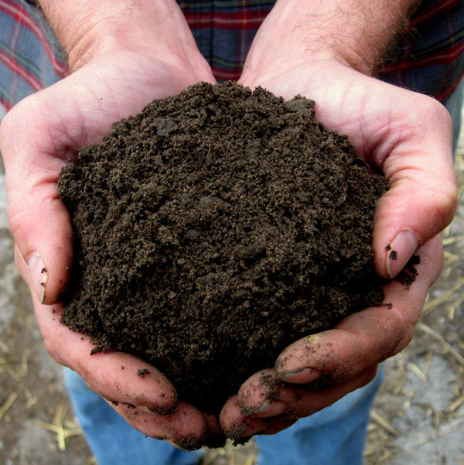 Soil, Kalamazoo, Topsoil, Renewed Earth, Garden, Yard Garden Blend Soil - Soil, Kalamazoo, Topsoil, Renewed Earth, Garden, Yard