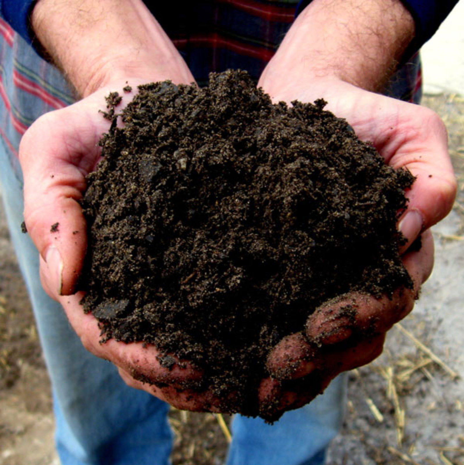 Soil, Kalamazoo, Topsoil, Renewed Earth, Garden, Yard Gardeners Delight - Soil, Kalamazoo, Topsoil, Renewed Earth, Garden, Yard